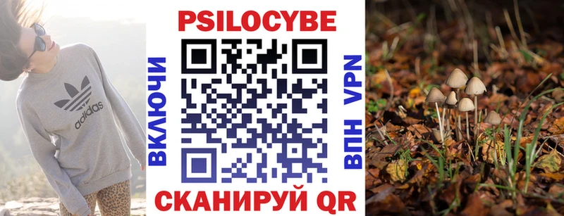 Псилоцибиновые грибы MAGIC MUSHROOMS  Искитим 