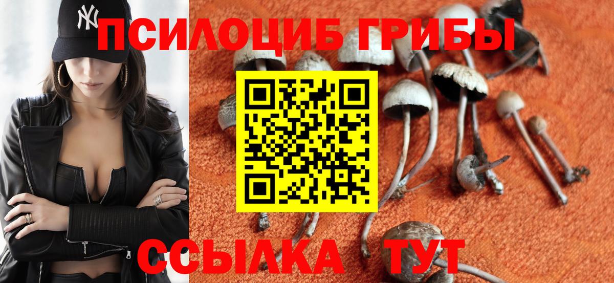 Галлюциногенные грибы GOLDEN TEACHER Искитим