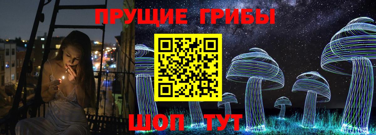 закладки  Вход с VPN  Искитим  Псилоцибиновые грибы мицелий  Псилоцибиновые грибы мицелий 
